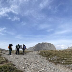 cover image - olympus